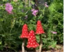 Drei rote Pilze mit weißen Punkten im Garten