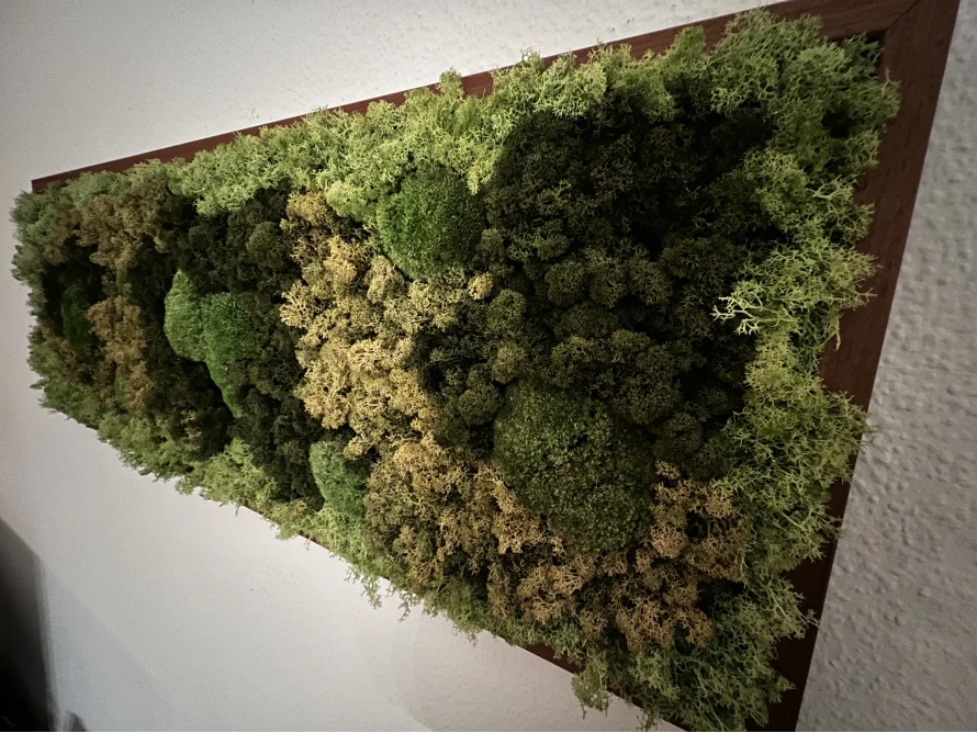 Wandbild aus Moos in einem Holzrahmen