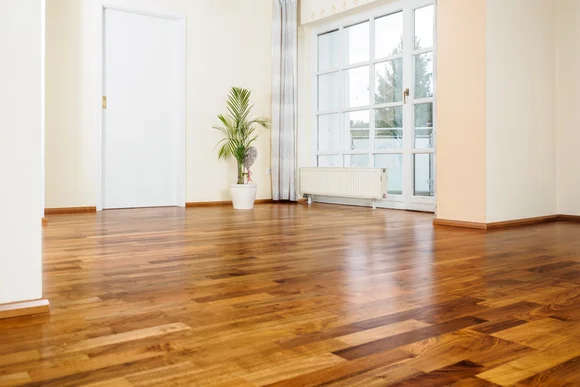Leerer Raum mit Holzboden und Topfpflanze