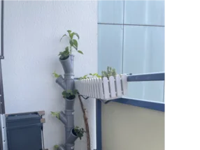 Vertikaler Garten auf einem Balkon
