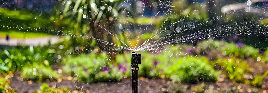 Sprinkler bewässert Garten