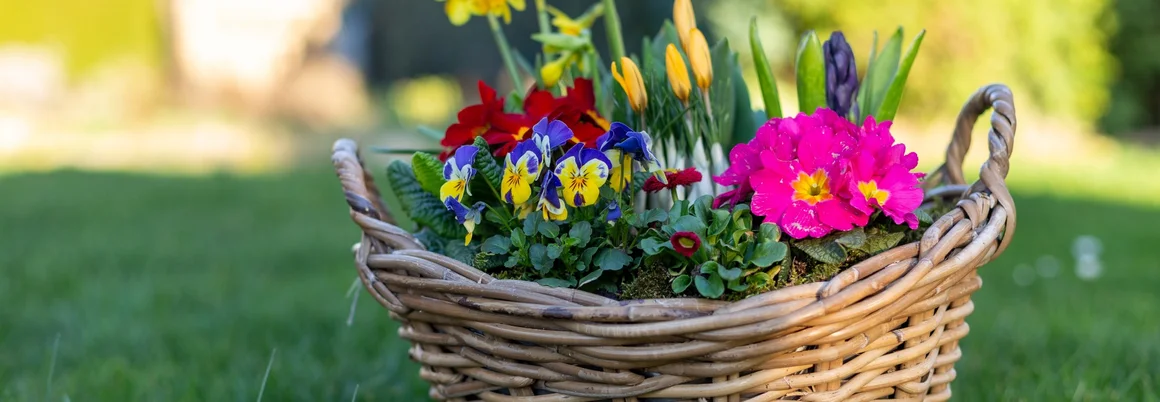 Blumenkorb im Garten