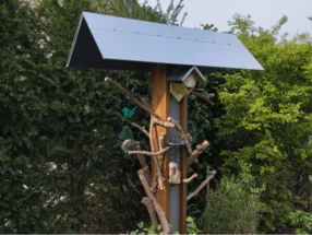 Vogelhaus mit Vogelfutter