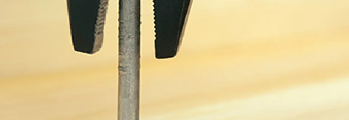 Zange zieht Nagel aus Holz
