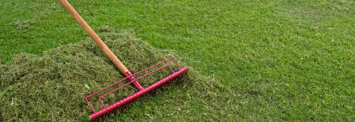 Rechen sammelt trockenes Gras auf.