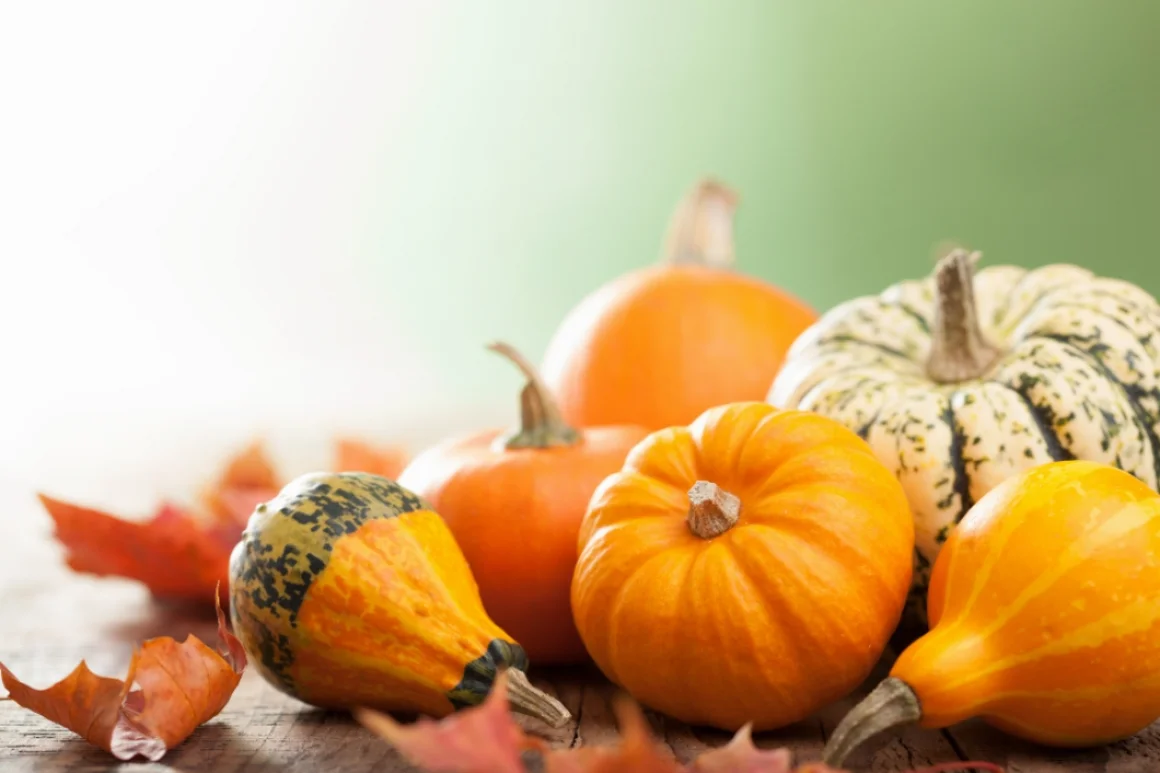 Herbstliche Kürbisse auf Holztisch