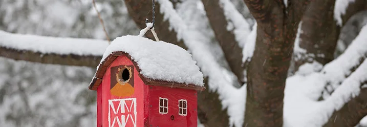 Verschneiter Vogelhäuschen am Baum