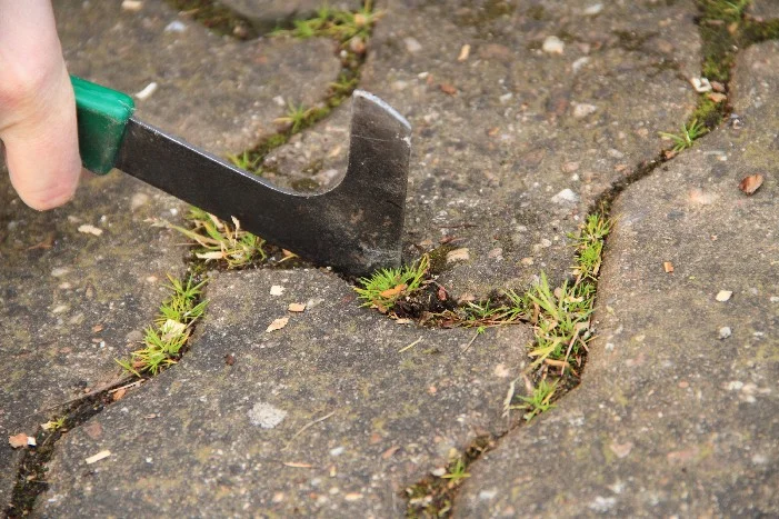 Hand entfernt Unkraut mit Fugenkratzer aus Pflaster