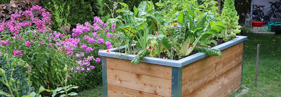 Holz-Hochbeet mit Gemüse und Blumen