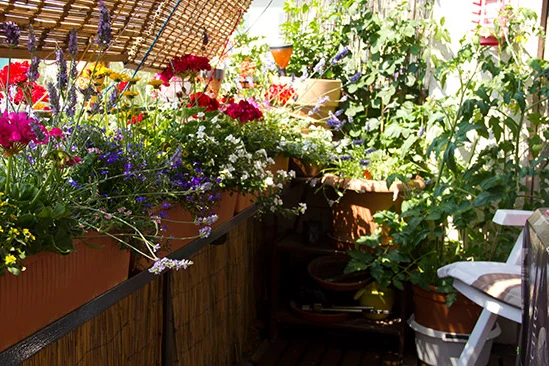 Blumenkästen auf einem sonnigen Balkon