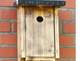 Ein hölzerner Vogelkasten