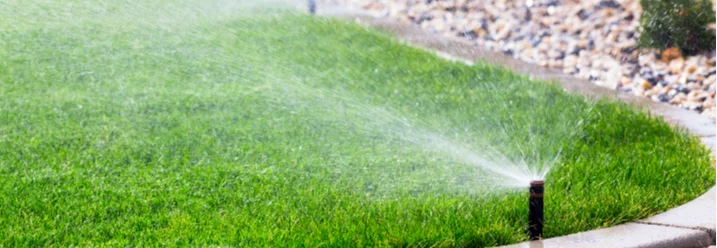 Sprinkler bewässert Rasen