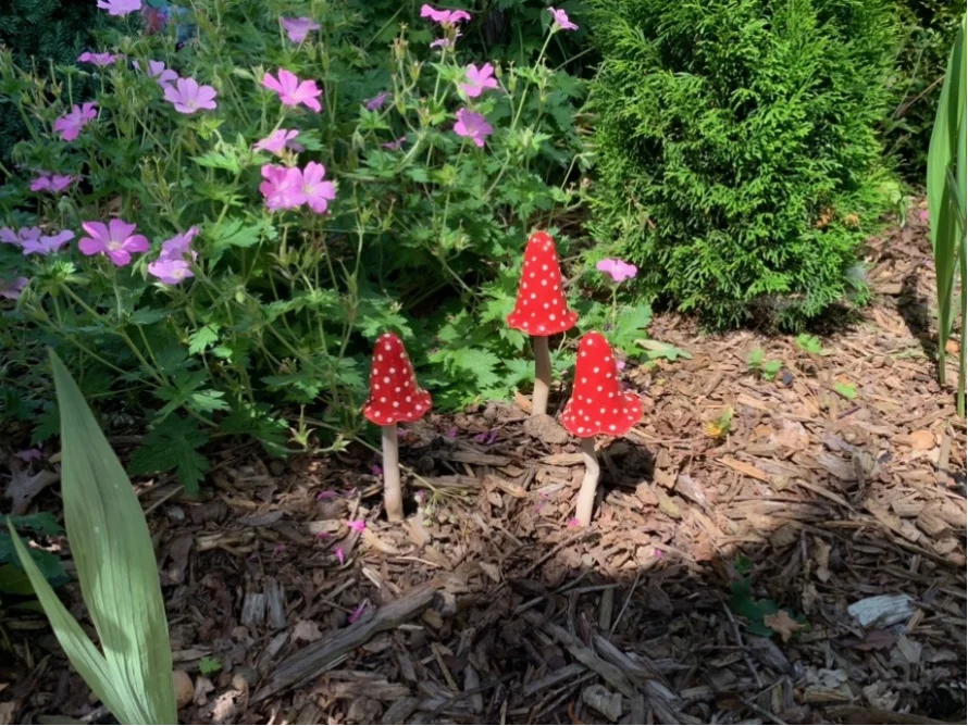 Drei rote Gartenzwergpilze