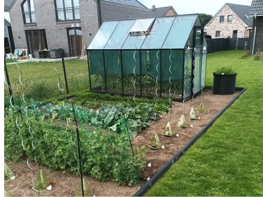 Gemüsegarten mit Gewächshaus