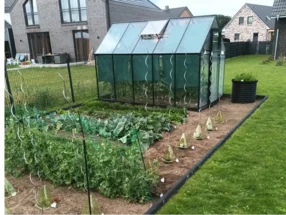 Gemüsegarten mit Gewächshaus