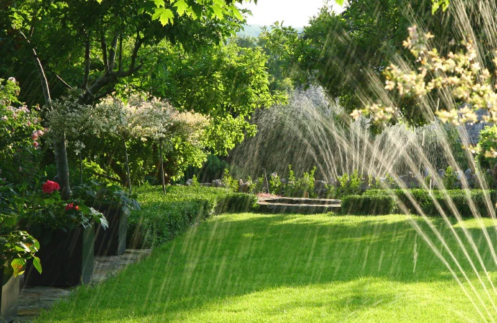 Sprinkler bewässern Rasen