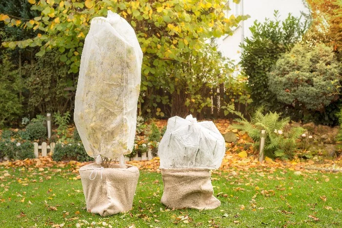 Zwei Topfpflanzen mit Winterschutz