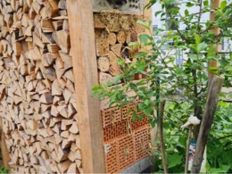 Insektenhotel neben Brennholzstapel