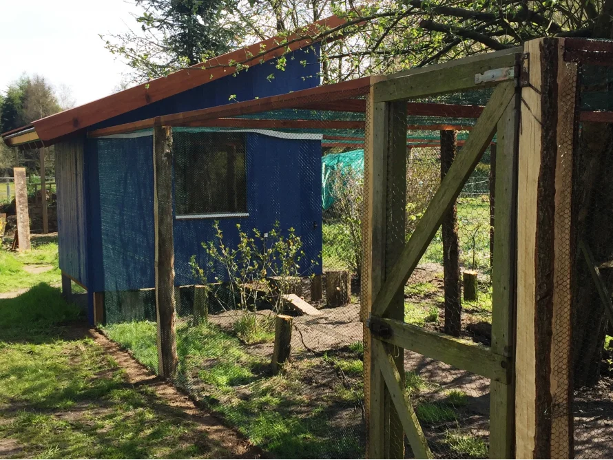 Blaues Gartenhaus mit Auslauf