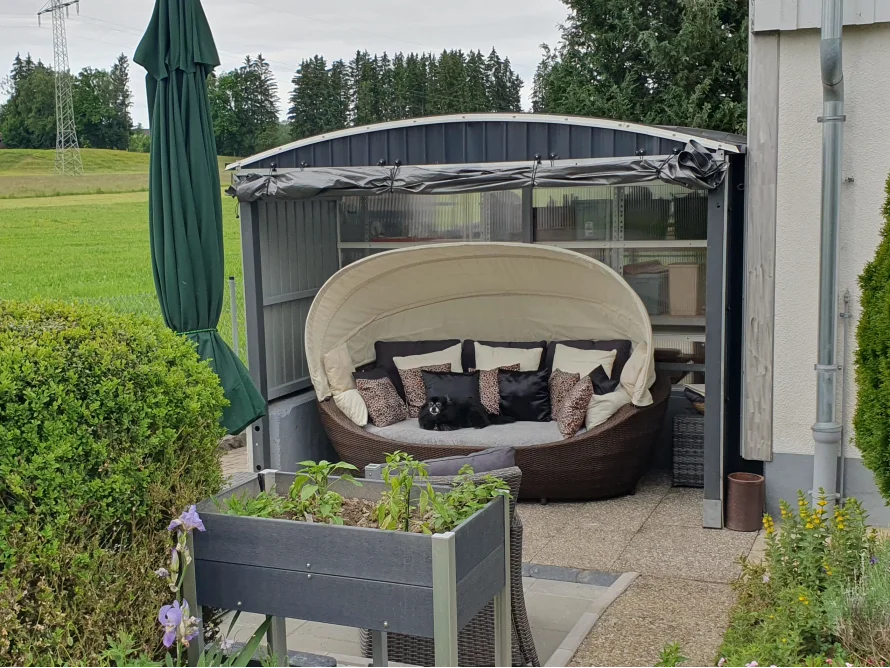 Ein kleiner, schwarzer Hund sitzt auf einer runden Lounge-Insel mit Kissen.