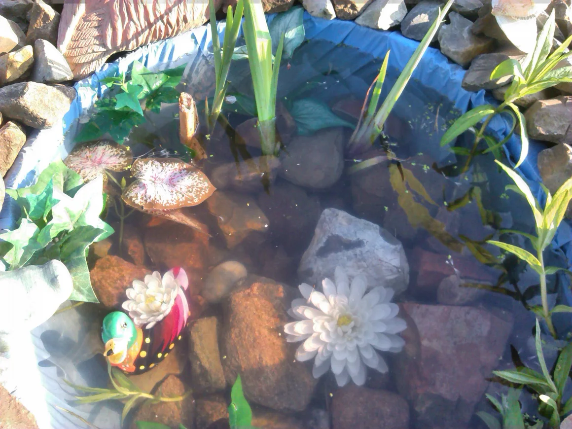 Kleiner Gartenteich mit Deko-Ente