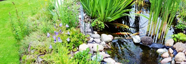 Teich im Garten