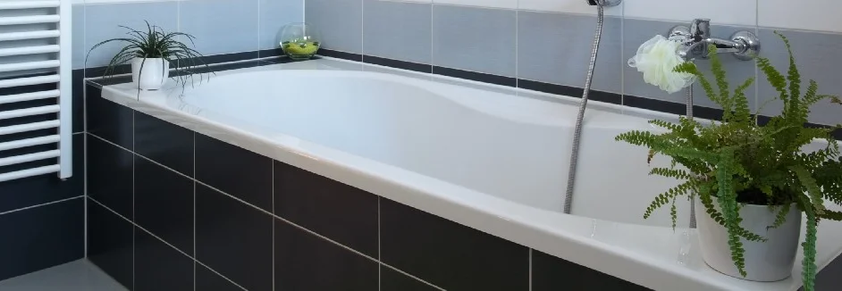 Badewanne mit Pflanze