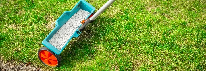 Düngerstreuer auf grünem Rasen