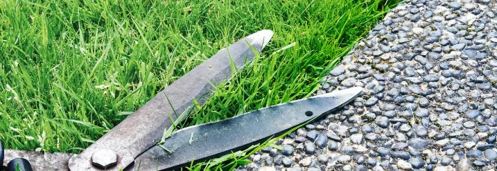 Gartenschere auf grünem Rasen