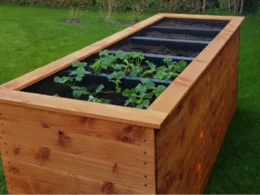 Holzbeet mit jungen Pflanzen