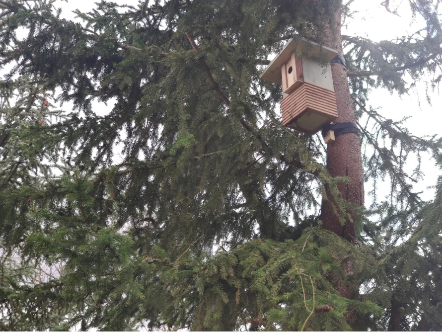 Vogelnistkasten an einem Baum