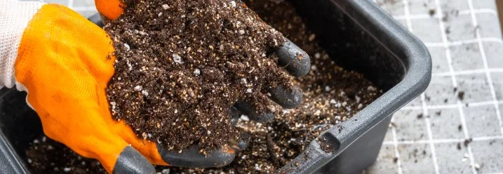 Hände mit Handschuhen halten Blumenerde