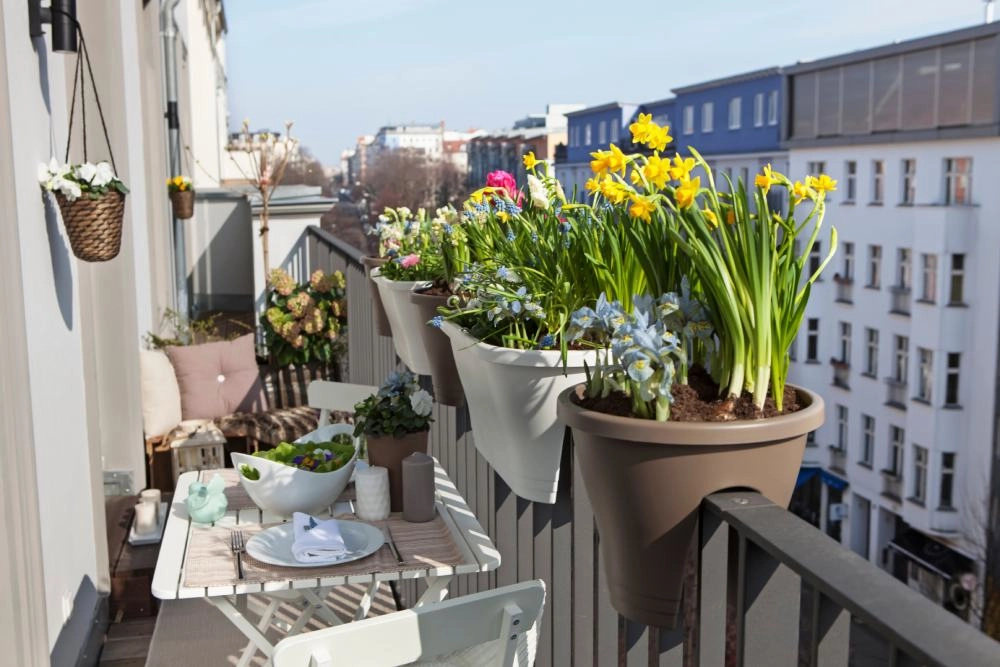 Ein sonniger Balkon mit vielen Frühlingsblumen in Töpfen und einem gedeckten Tisch.