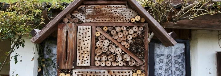 Insektenhotel aus Holz