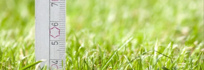 Zollstock im grünen Gras